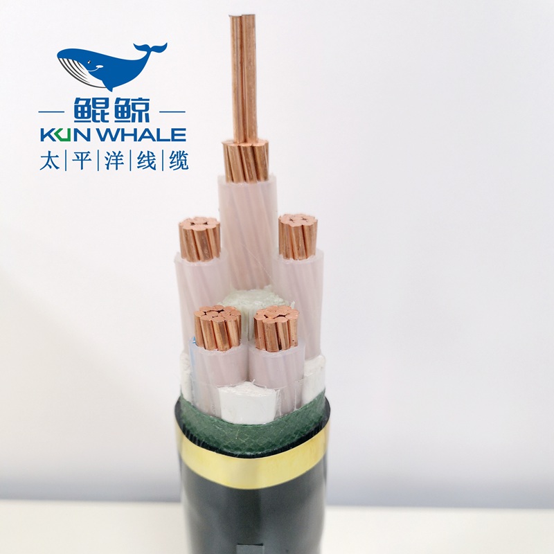 50平方低壓電力電纜，低壓電纜，電力電纜-太平洋線(xiàn)纜