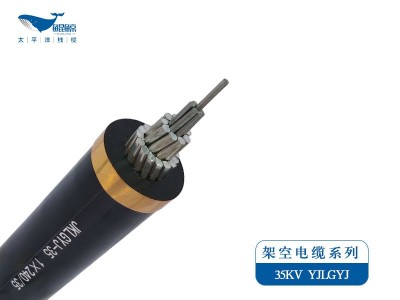 架空電纜系列JKLYJ，JKLGYJ 0.6/1KV