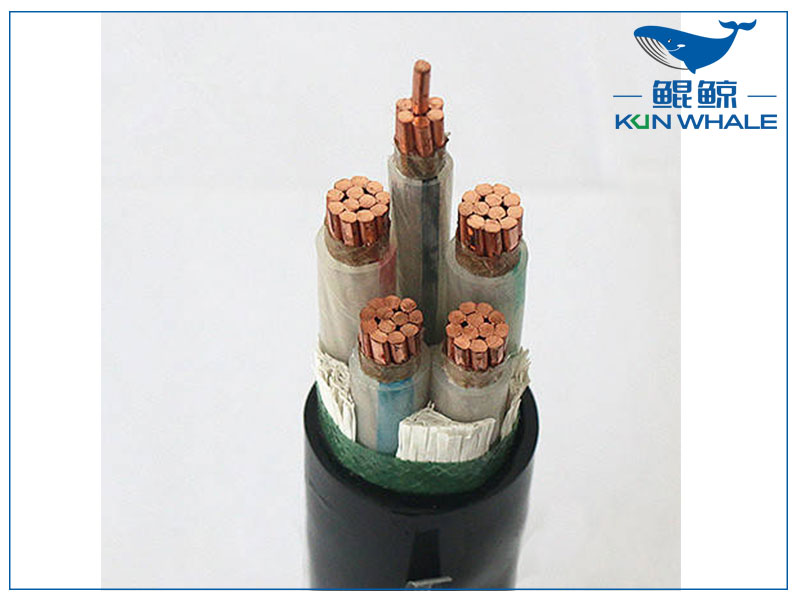 鄭州電纜廠帶你了解wdz—yje是什么電纜？